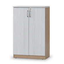 Load image into Gallery viewer, MP6 MEDIUM HEIGHT CABINET WITH WOODEN DOOR (7474508562515)