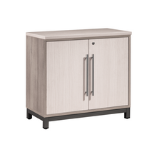 Load image into Gallery viewer, MX3 LOW SWING DOOR CABINET (7111219904595)