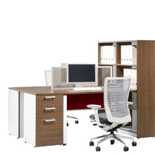 Load image into Gallery viewer, PX5 DESK HEIGHT PEDESTAL (4469155954771)