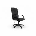 SHAYNE EXECUTIVE CHAIR (4467827867731)