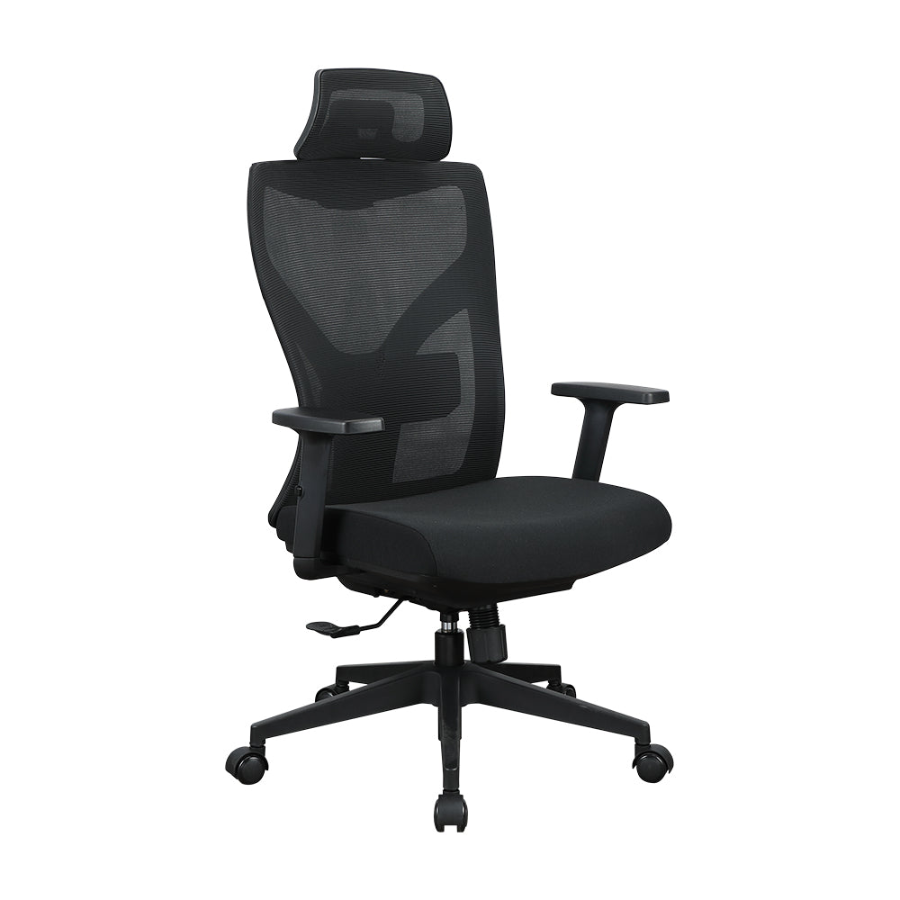 Y-GONOMIC EXECUTIVE CHAIR (7395006120019)