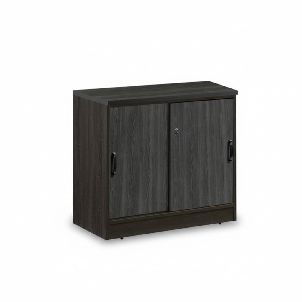 MP3 LOW SLIDING DOOR CABINET (4498007031891)