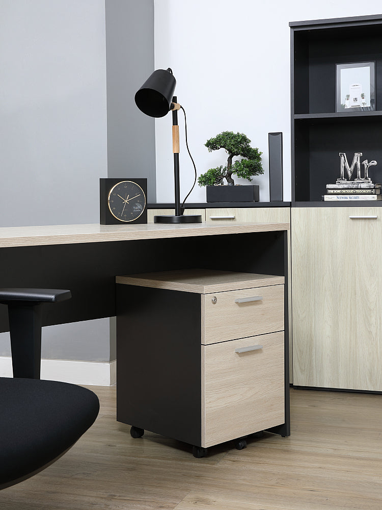 ACTIVA MOBILE PEDESTAL (6790561071187)
