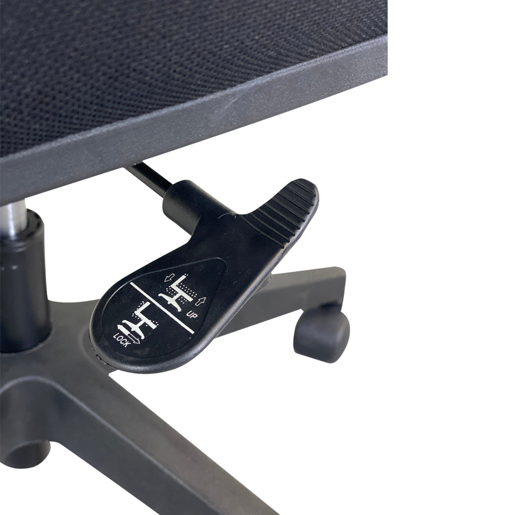 MIRA MANAGERIAL CHAIR (4467855458387)
